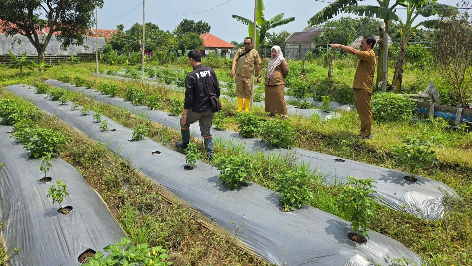 Berita